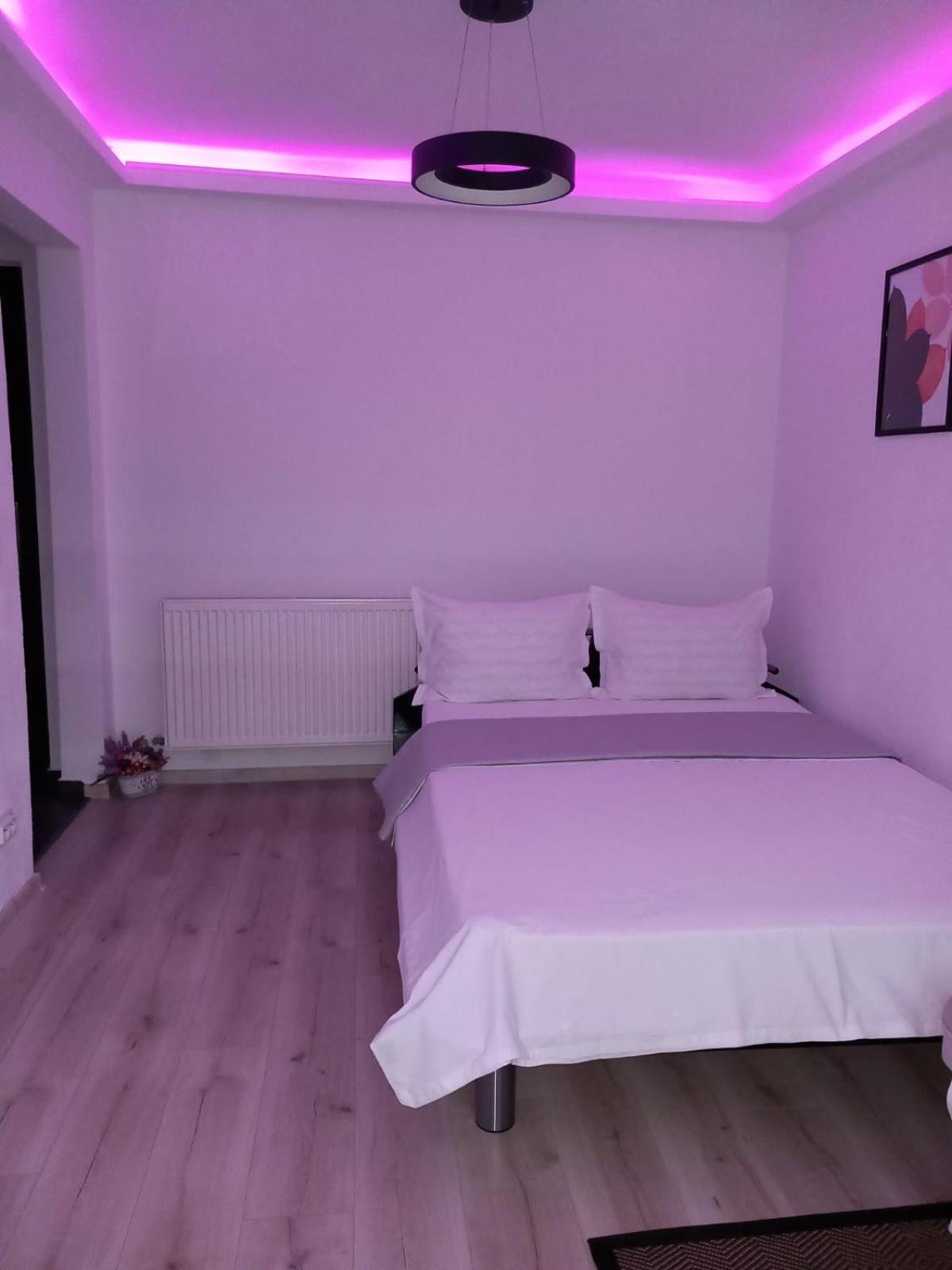 Radu'S Room Curtea de Argeş Exteriér fotografie